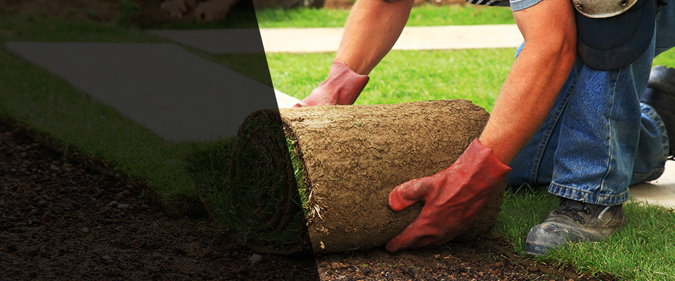 Whiteville Landscapers